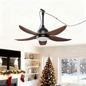 Downrod Mount in Ceiling Fans With Lights