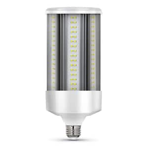 Light Bulb Base Code: E26