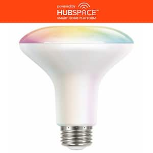 Light Bulb Shape Code: BR30