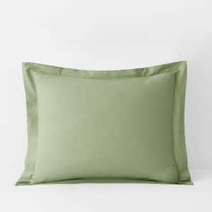 Company Essentials Organic Percale Sham