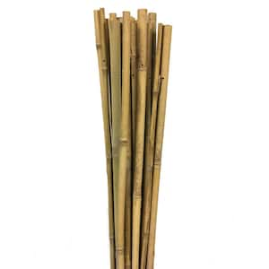 Bamboo - Plant Support - Garden Center - The Home Depot