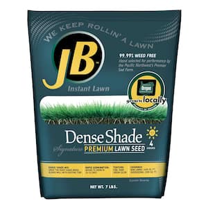 New Lawn in Grass Seed