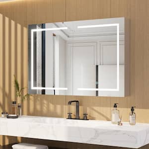 Medicine Cabinets with Mirrors