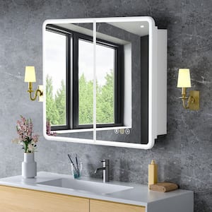 Medicine Cabinets with Mirrors