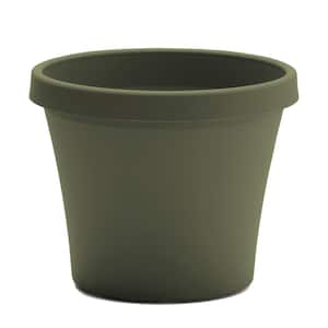 Medium