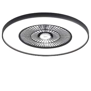 Ceiling Fans With Lights
