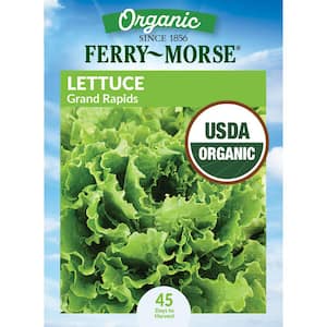 Organic Vegetable Seeds