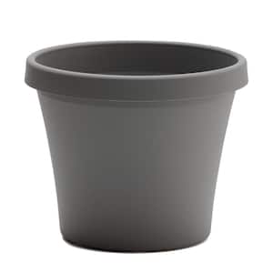 Large in Plant Pots