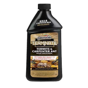 Termite