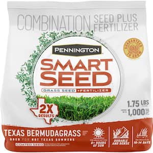 Bermuda in Grass Seed