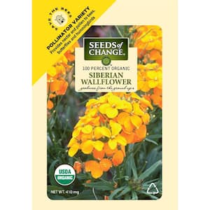 Flower Seeds