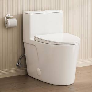 One Piece Toilets