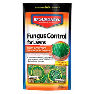 Brown Patch in Lawn Disease Control