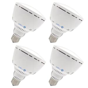 Wattage Equivalence: 50 Watt