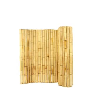 Bamboo in Garden Fencing
