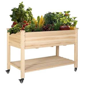 Cedar