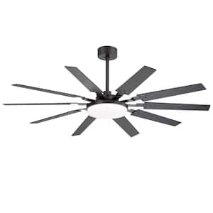 Kitchen in Ceiling Fans