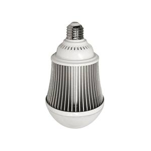 LED in Grow Light Bulbs