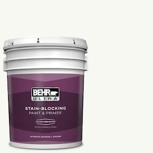 BEHR ULTRA