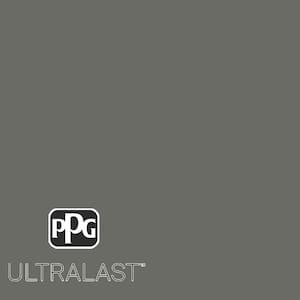 Armory PPG1009-6  Paint and Primer_UL