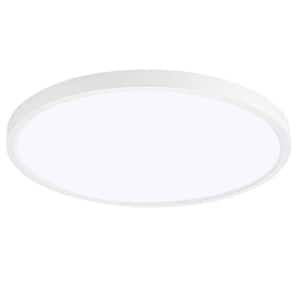 Flush Mount Ceiling Lights