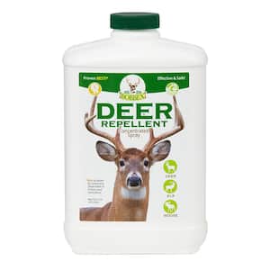 Animal & Rodent Control