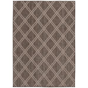 Approximate Rug Size (ft.): 5 X 7