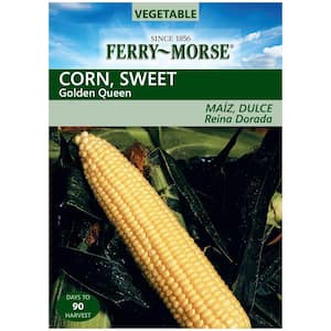 Corn