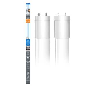 Light Bulb Shape Code: T8