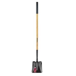 Transfer Shovel in Shovels