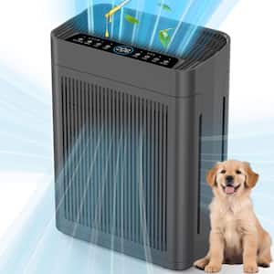 Home Air Purifiers