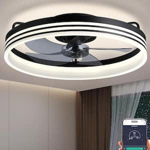 Ceiling Fans With Lights