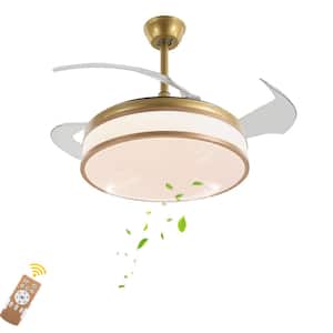 Remote Control Included in Ceiling Fans With Lights
