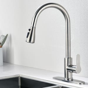 Stainless Steel in Kitchen Faucets
