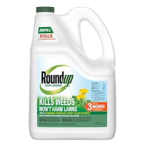 Spray in Weed Killer