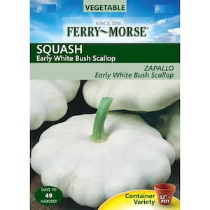 Squash