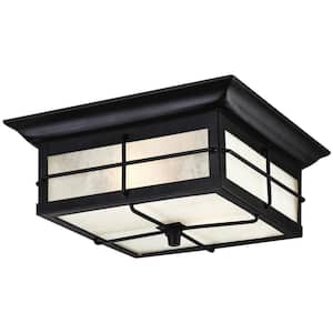 Westinghouse in Outdoor Flush Mount Lights