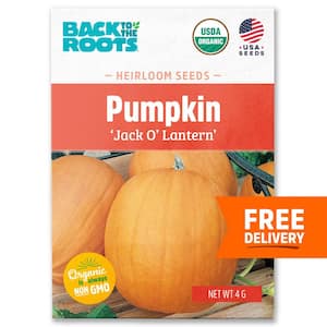 Pumpkin