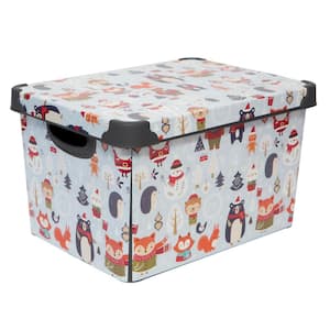 Storage Boxes
