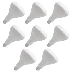 Flood and Spot Light Bulbs