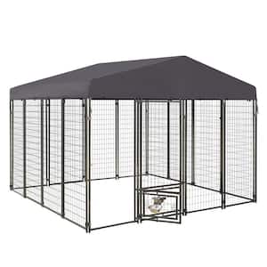 Cages in Dog Crates