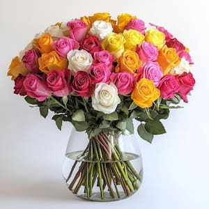 Approximate #of Stems: 50