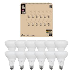 Light Bulb Shape Code: BR30 in LED Light Bulbs