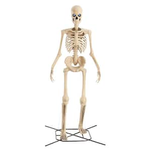 Halloween Yard Decorations