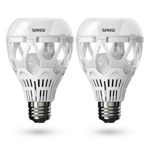 Light Bulb Base Code: E26