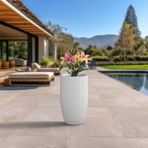 Outdoor in Plant Pots