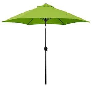Market Umbrellas