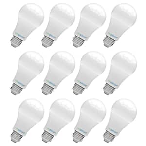 LED Light Bulbs