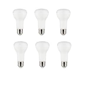 Wattage Equivalence: 50 Watt