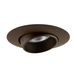 Eyeball in Recessed Lighting Retrofit Trims